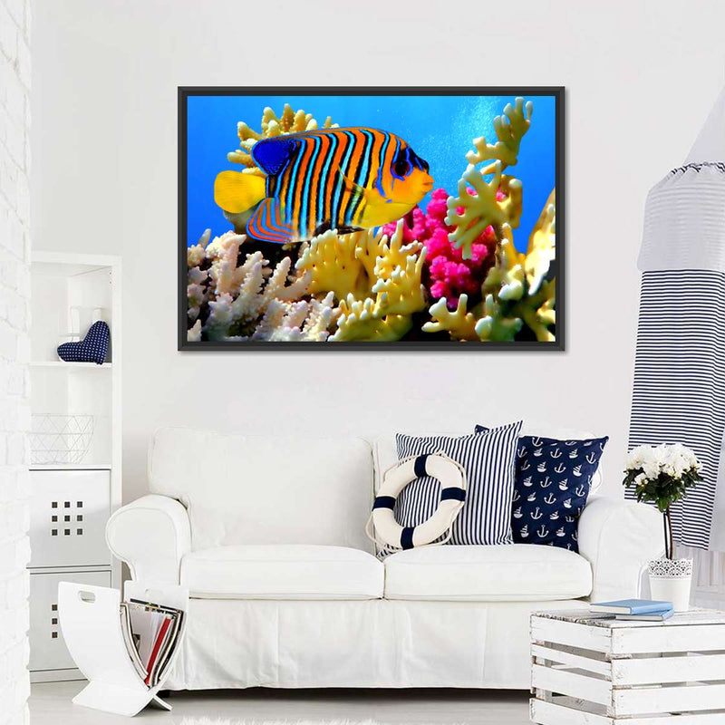 Queen Angelfish Wall Art