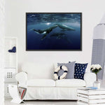 Humpback Whales Wall Art