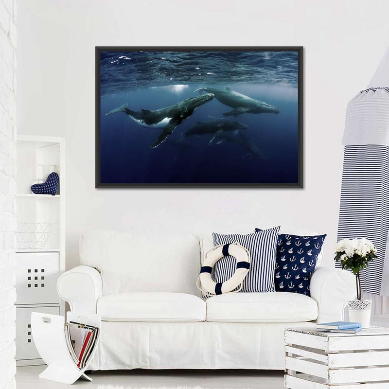 Humpback Whales Wall Art