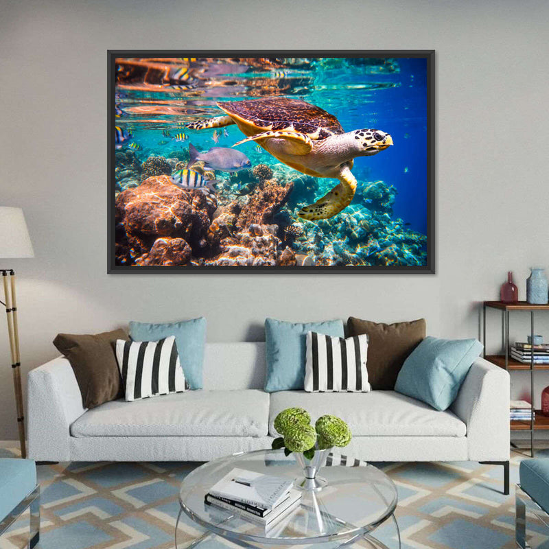 Vivid Sea Life Wall Art