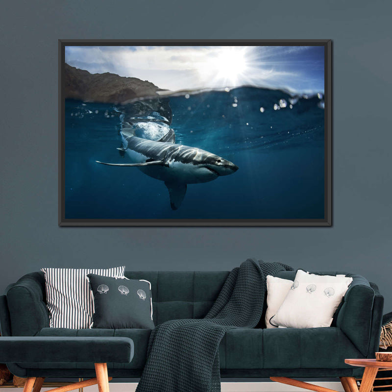 Shark Sunshine Wall Art