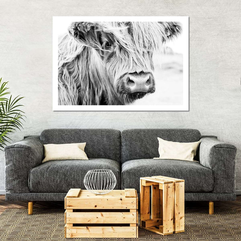 Long Haired Cow Wall Art