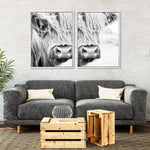 Long Haired Cow Wall Art