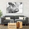 Long Haired Cow Wall Art