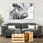Long Haired Cow Wall Art