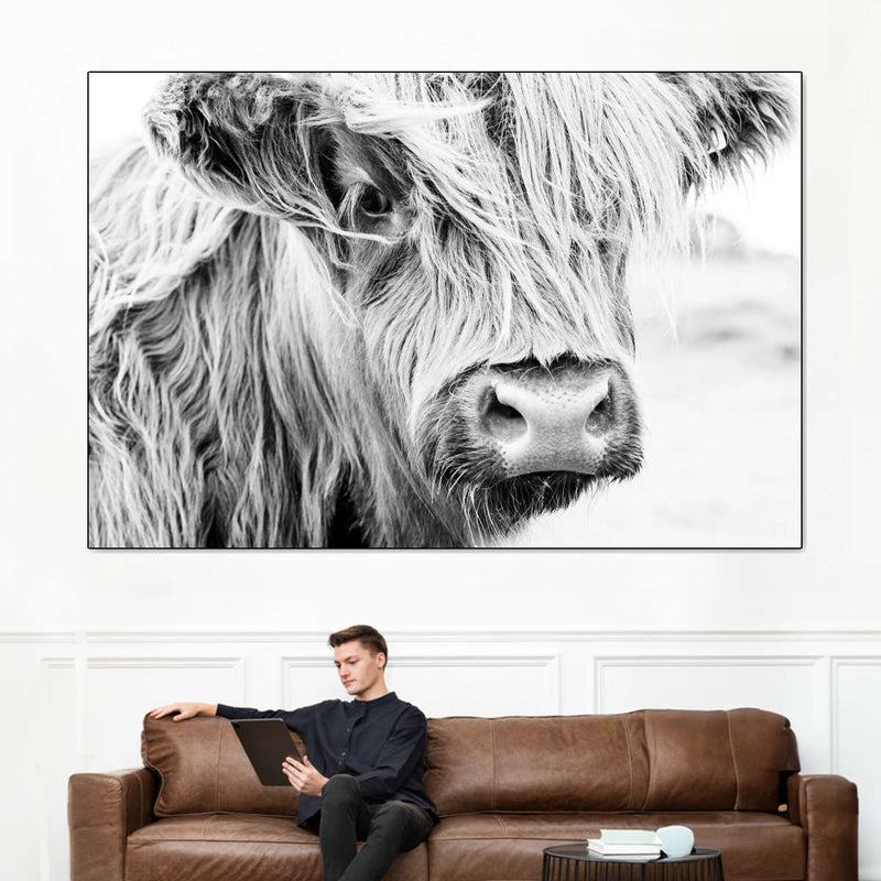 Long Haired Cow Wall Art