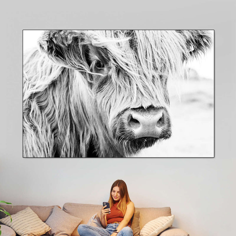 Long Haired Cow Wall Art