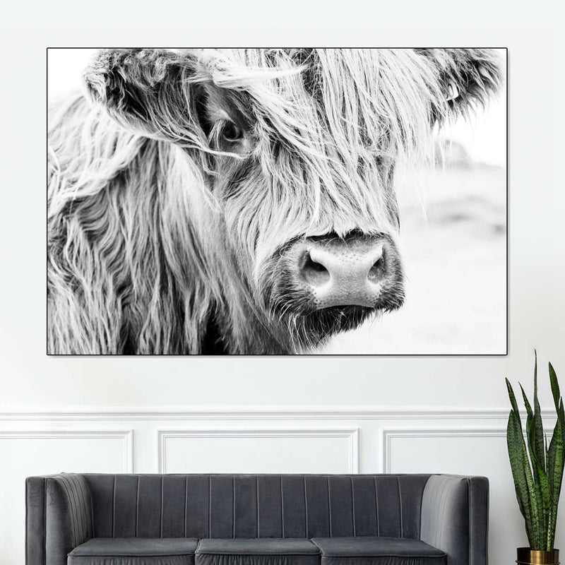 Long Haired Cow Wall Art