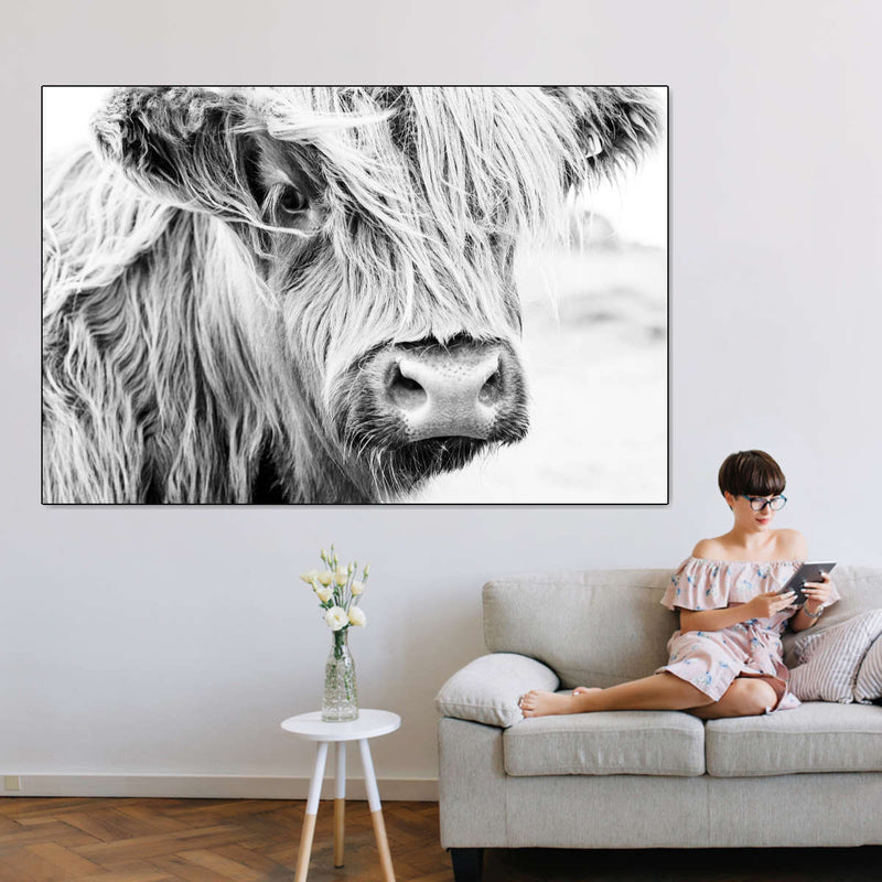 Long Haired Cow Wall Art
