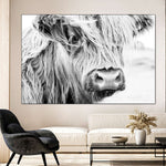 Long Haired Cow Wall Art