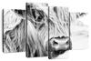 Long Haired Cow Wall Art
