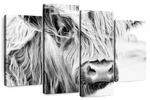 Long Haired Cow Wall Art