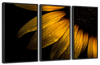 Sunflower Water Wall Art