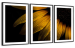 Sunflower Water Wall Art
