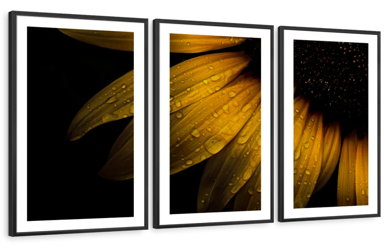 Sunflower Water Wall Art