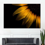 Sunflower Water Wall Art