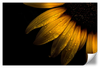 Sunflower Water Wall Art