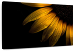 Sunflower Water Wall Art