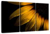 Sunflower Water Wall Art