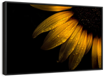 Sunflower Water Wall Art