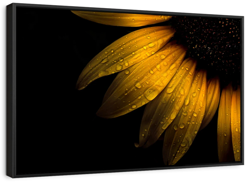 Sunflower Water Wall Art