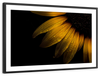 Sunflower Water Wall Art