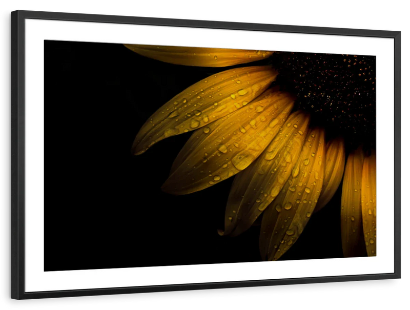 Sunflower Water Wall Art
