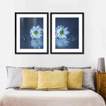White Daisies Wall Art