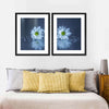 White Daisies Wall Art