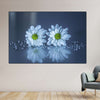 White Daisies Wall Art