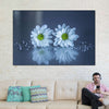 White Daisies Wall Art