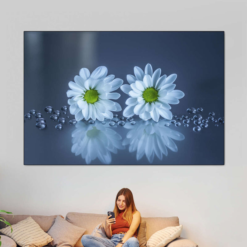 White Daisies Wall Art