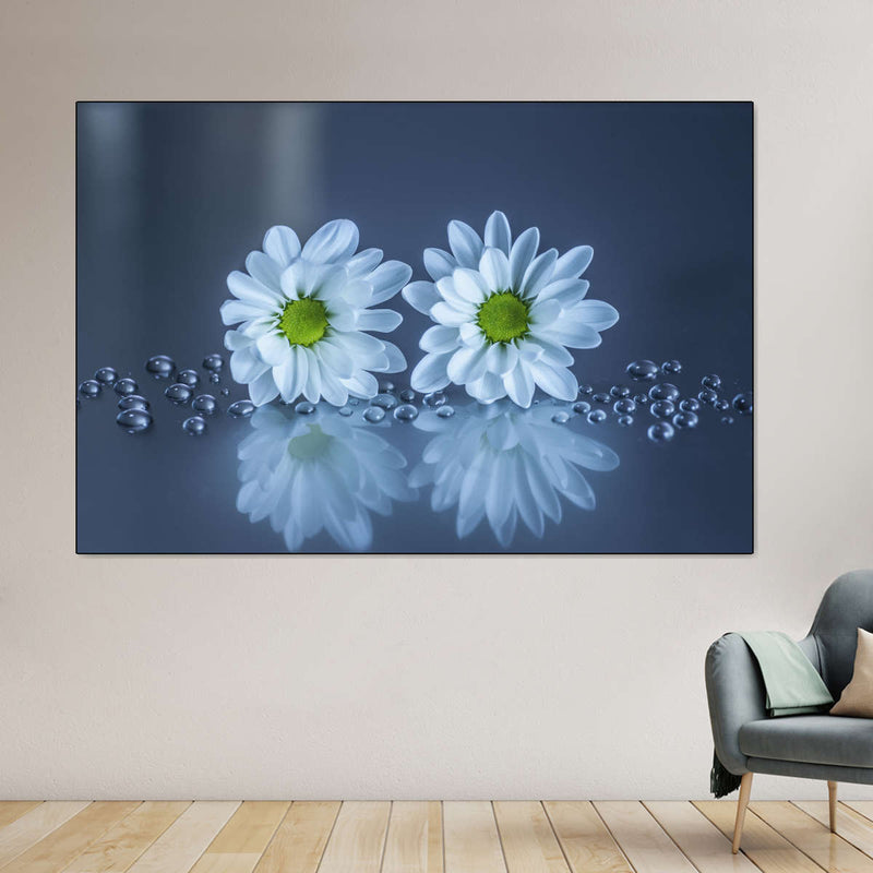 White Daisies Wall Art