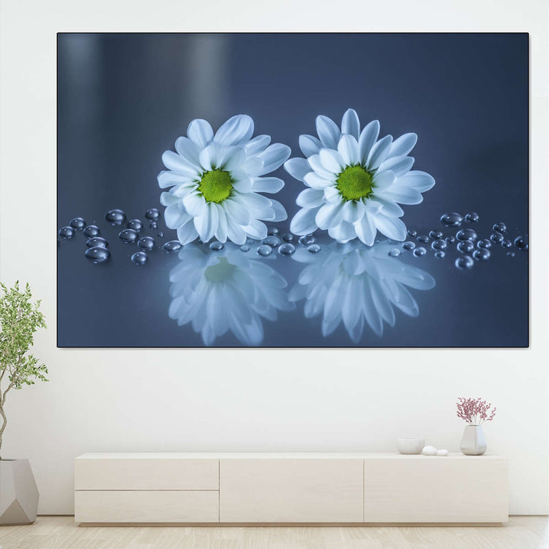 White Daisies Wall Art