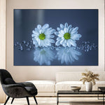 White Daisies Wall Art