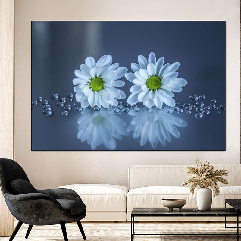 White Daisies Wall Art