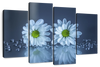 White Daisies Wall Art