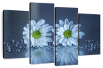 White Daisies Wall Art