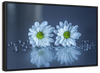 White Daisies Wall Art