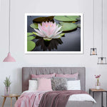 Pinkish White Lotus Wall Art
