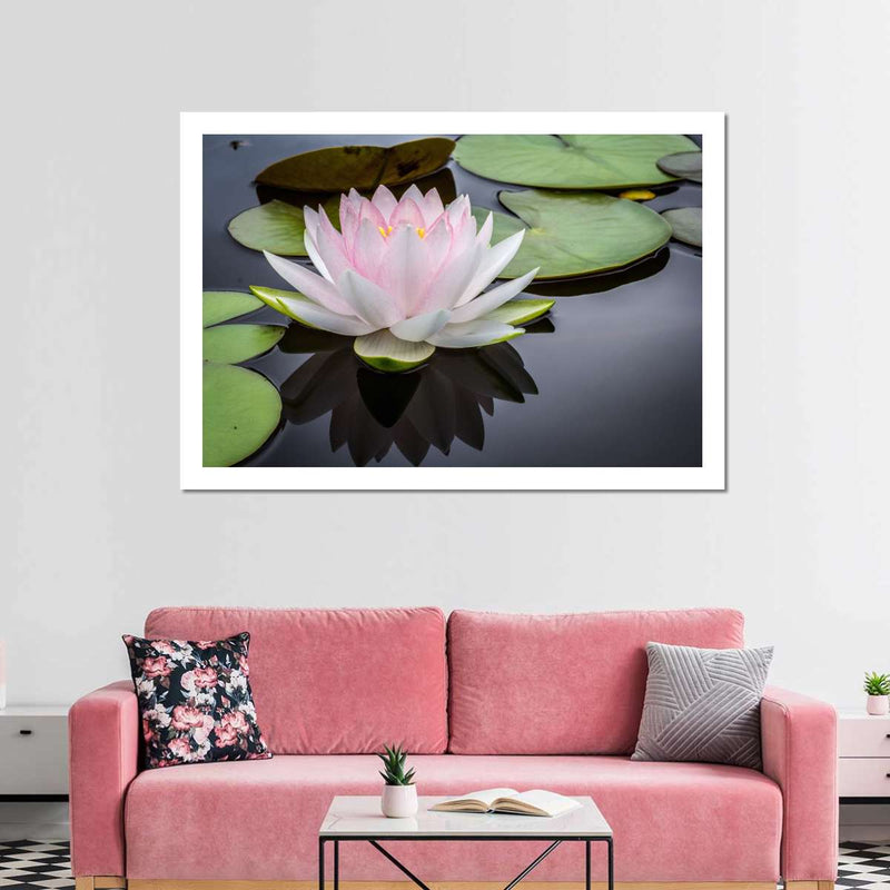 Pinkish White Lotus Wall Art