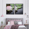 Pinkish White Lotus Wall Art