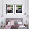 Pinkish White Lotus Wall Art