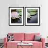 Pinkish White Lotus Wall Art