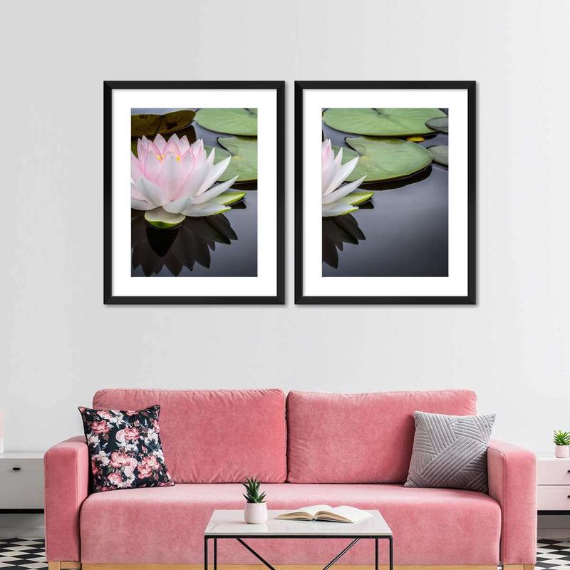 Pinkish White Lotus Wall Art