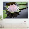 Pinkish White Lotus Wall Art