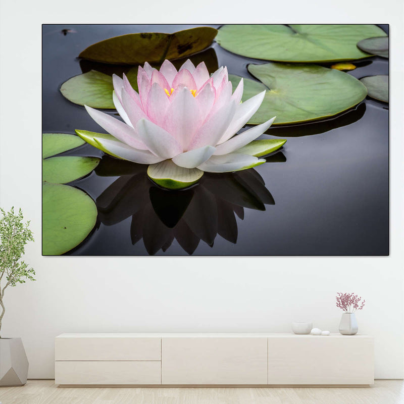 Pinkish White Lotus Wall Art
