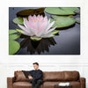 Pinkish White Lotus Wall Art