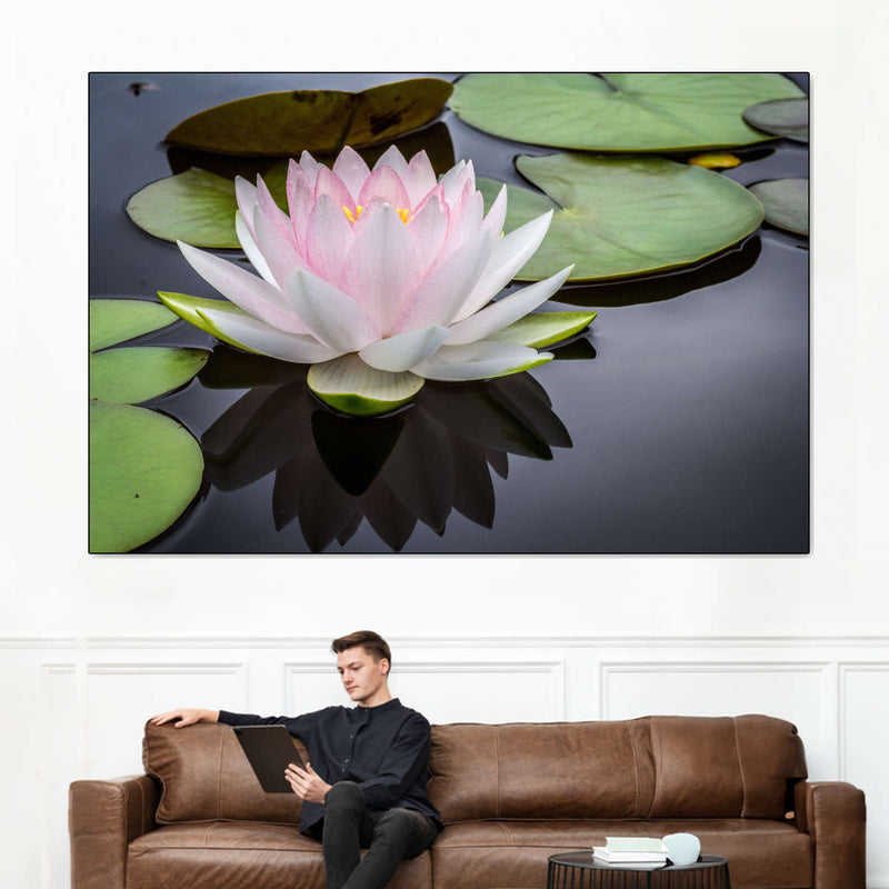 Pinkish White Lotus Wall Art