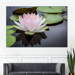Pinkish White Lotus Wall Art